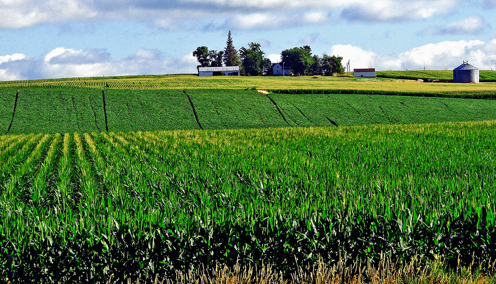 Farmers Union Urges Administration to Allow E15 Year-Round, Reconcile Billions of Gallons of Lost Demand for Biofuels Farmers Union Urges Administration to Allow E15 Year-Round, Reconcile Billions of Gallons of Lost Demand for Biofuels