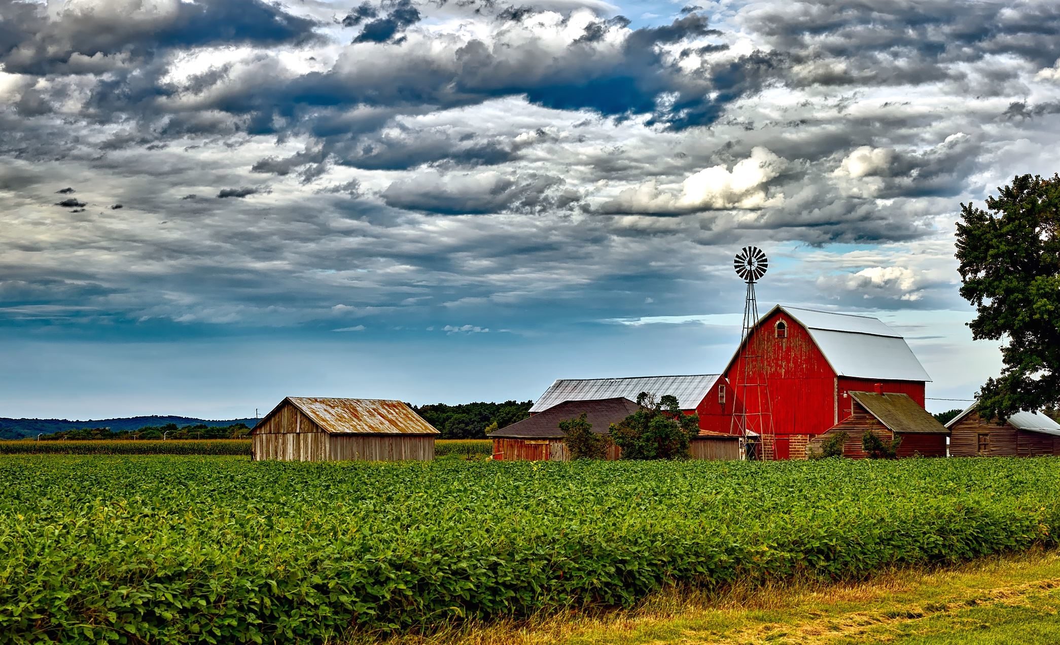 Perdue Testifies on Depressed Rural Economy