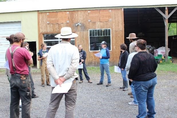 A Young Farmer’s Perspective: The Local Food Safety Collaborative’s Need Assessment Reports