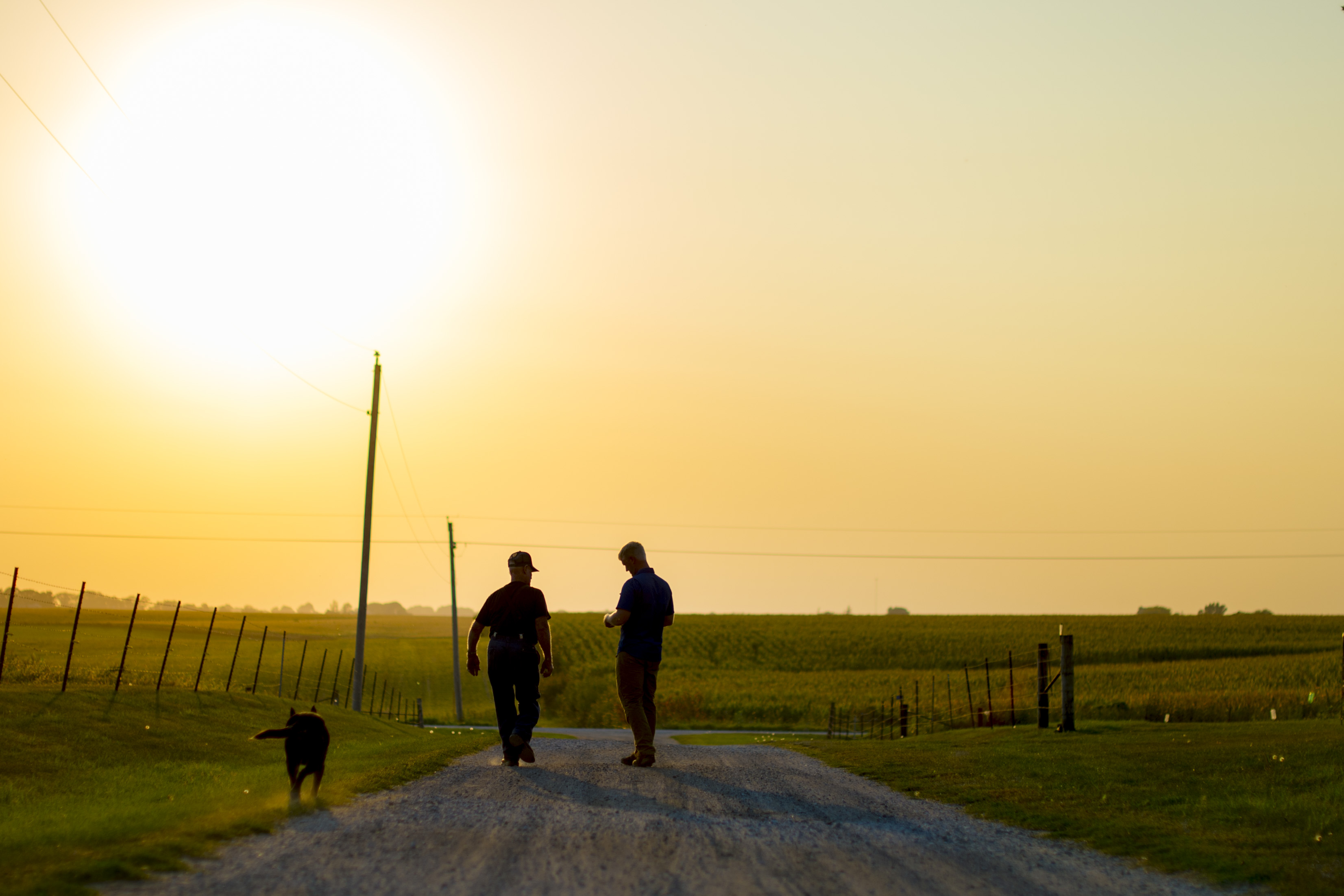 Farm Groups Partner to Help Farmers Manage Stress