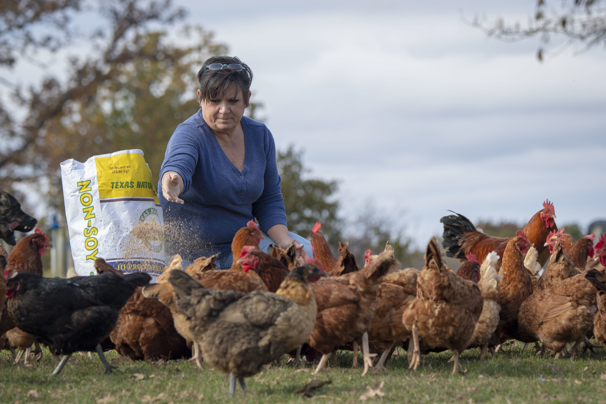 Proposed Rule Undermines Packers and Stockyards Act, Fails to Provide Needed Protections to Farmer
