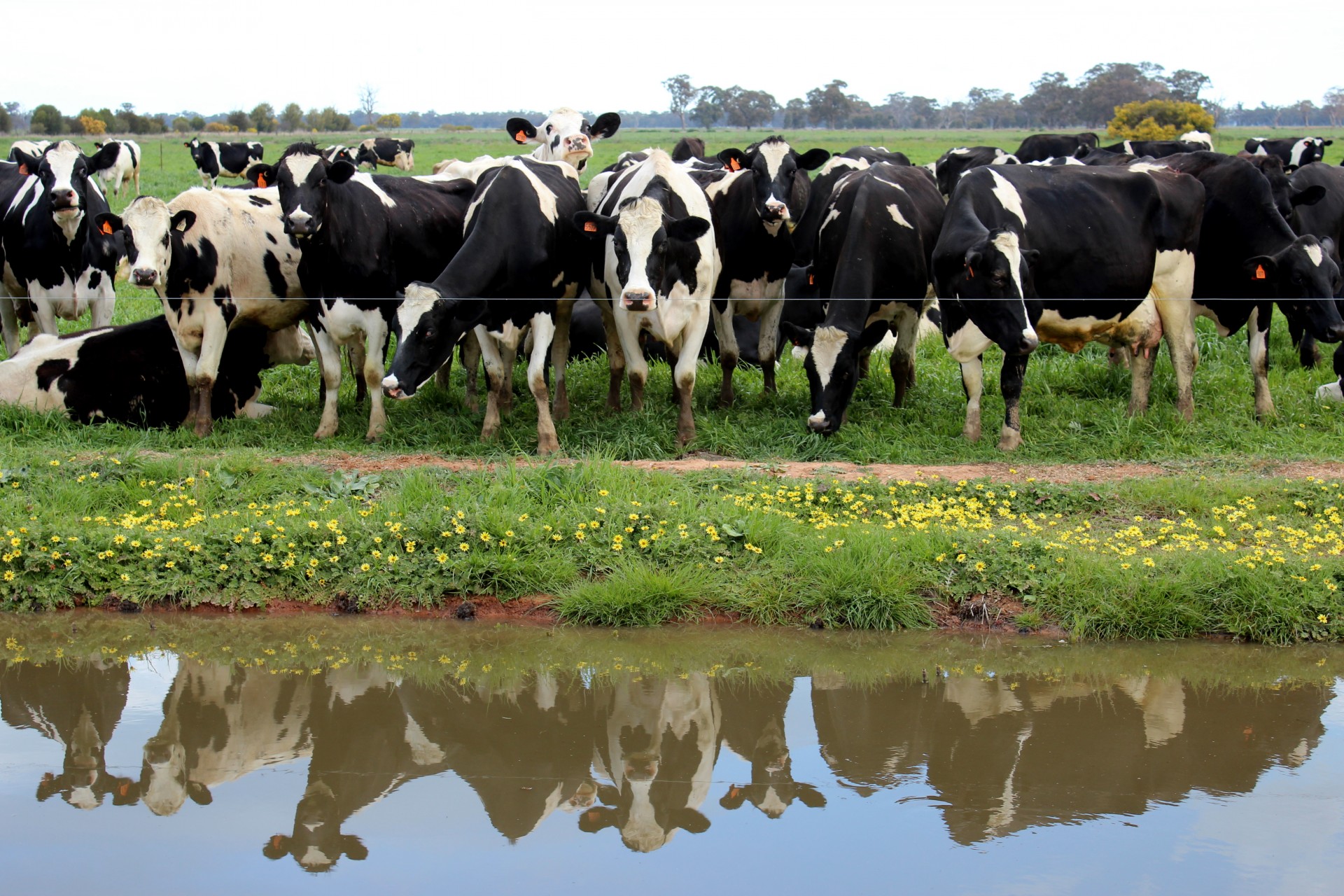 Proposed Rule Would Deter Organic Fraud, Strengthen Label’s Integrity