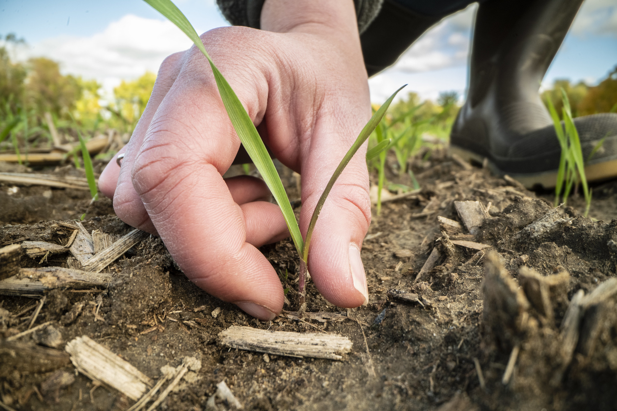 Growing Climate Solutions Act Improves Credibility of Carbon Markets, NFU Says