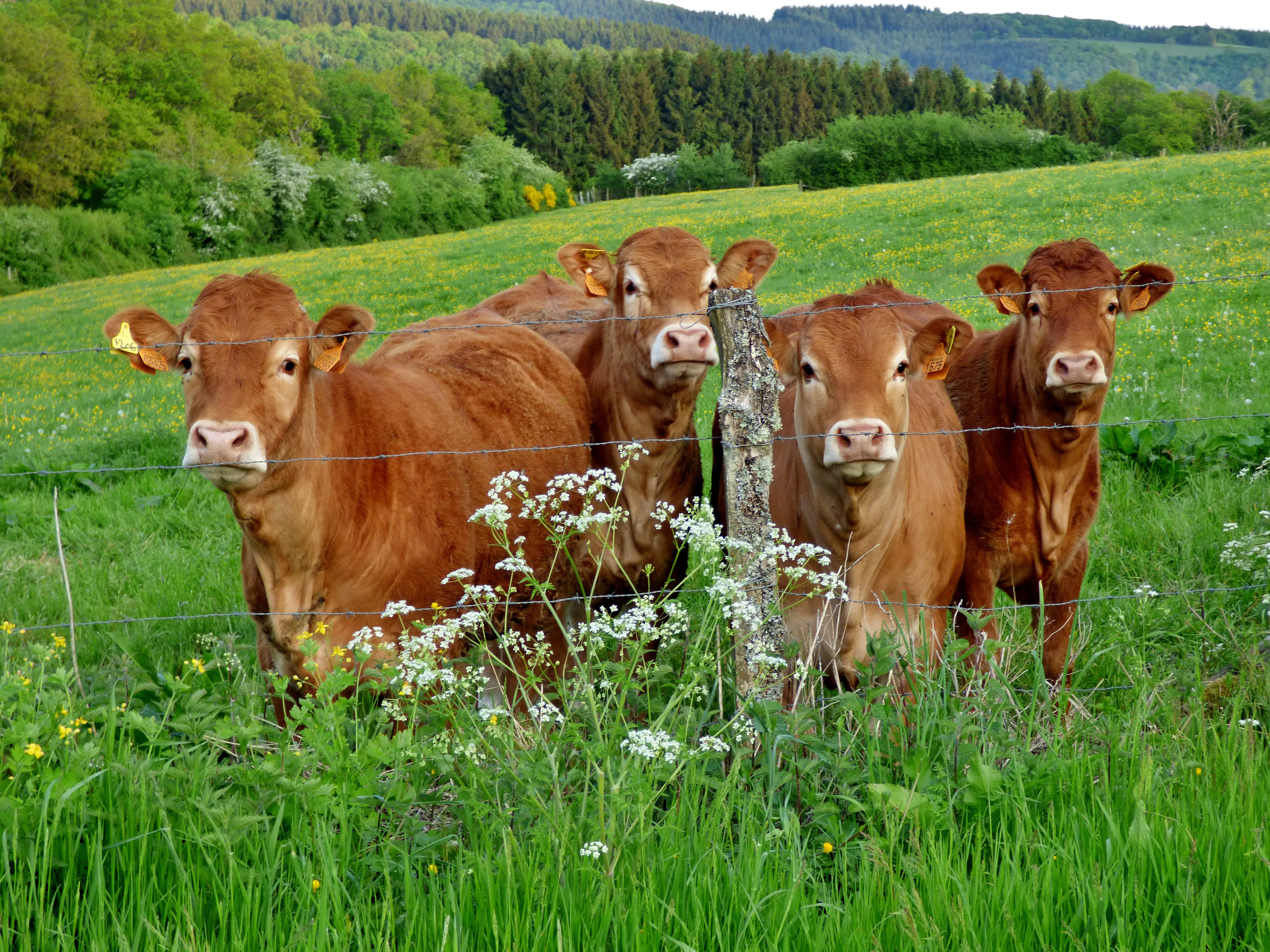 Farmers Union Encouraged that Agriculture is Incorporated into Biden Administration’s Conservation Principles