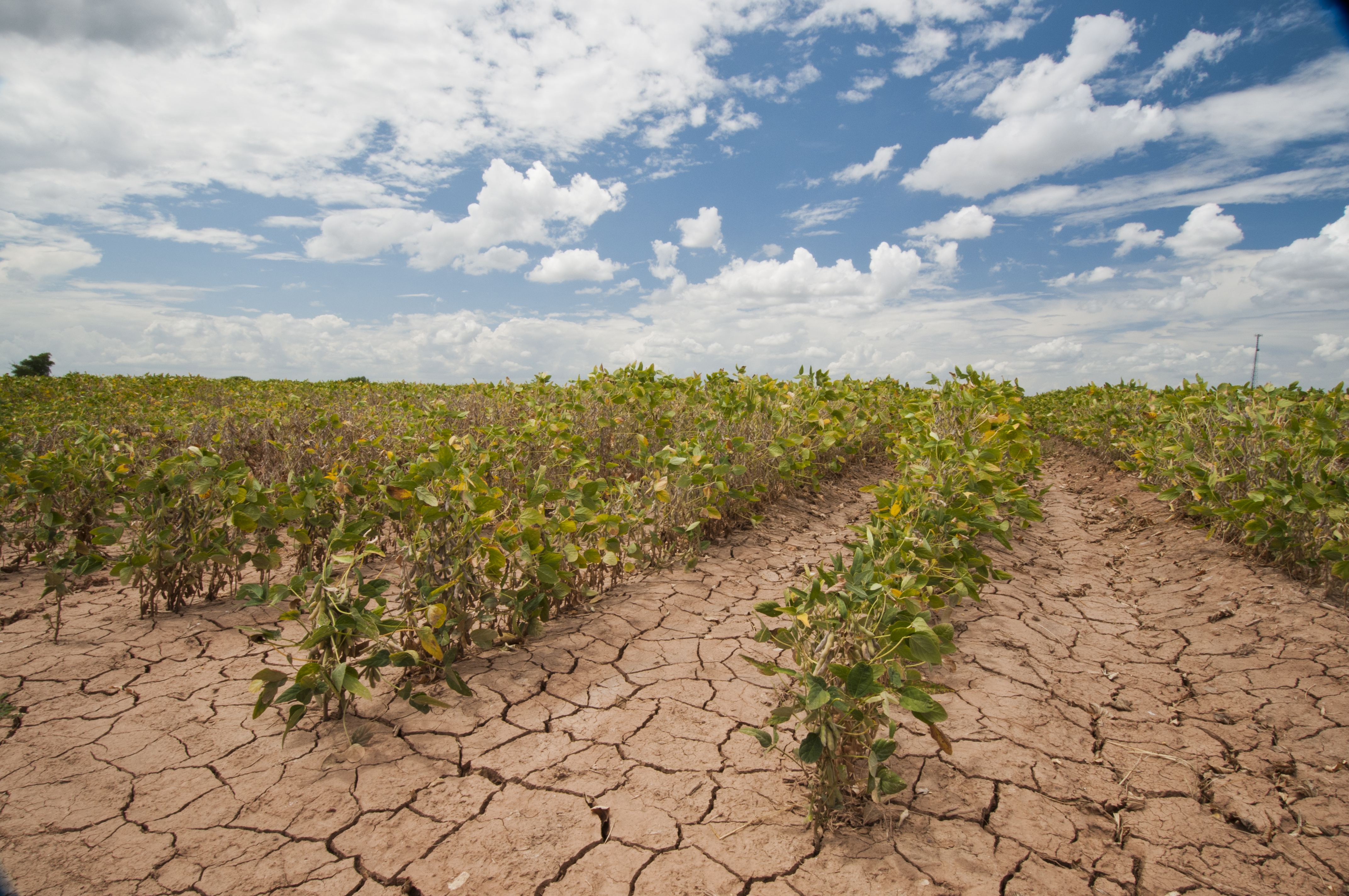 NFU Welcomes Effort to Broaden Disaster Assistance for Farmers and Ranchers NFU Welcomes Effort to Broaden Disaster Assistance for Farmers and Ranchers