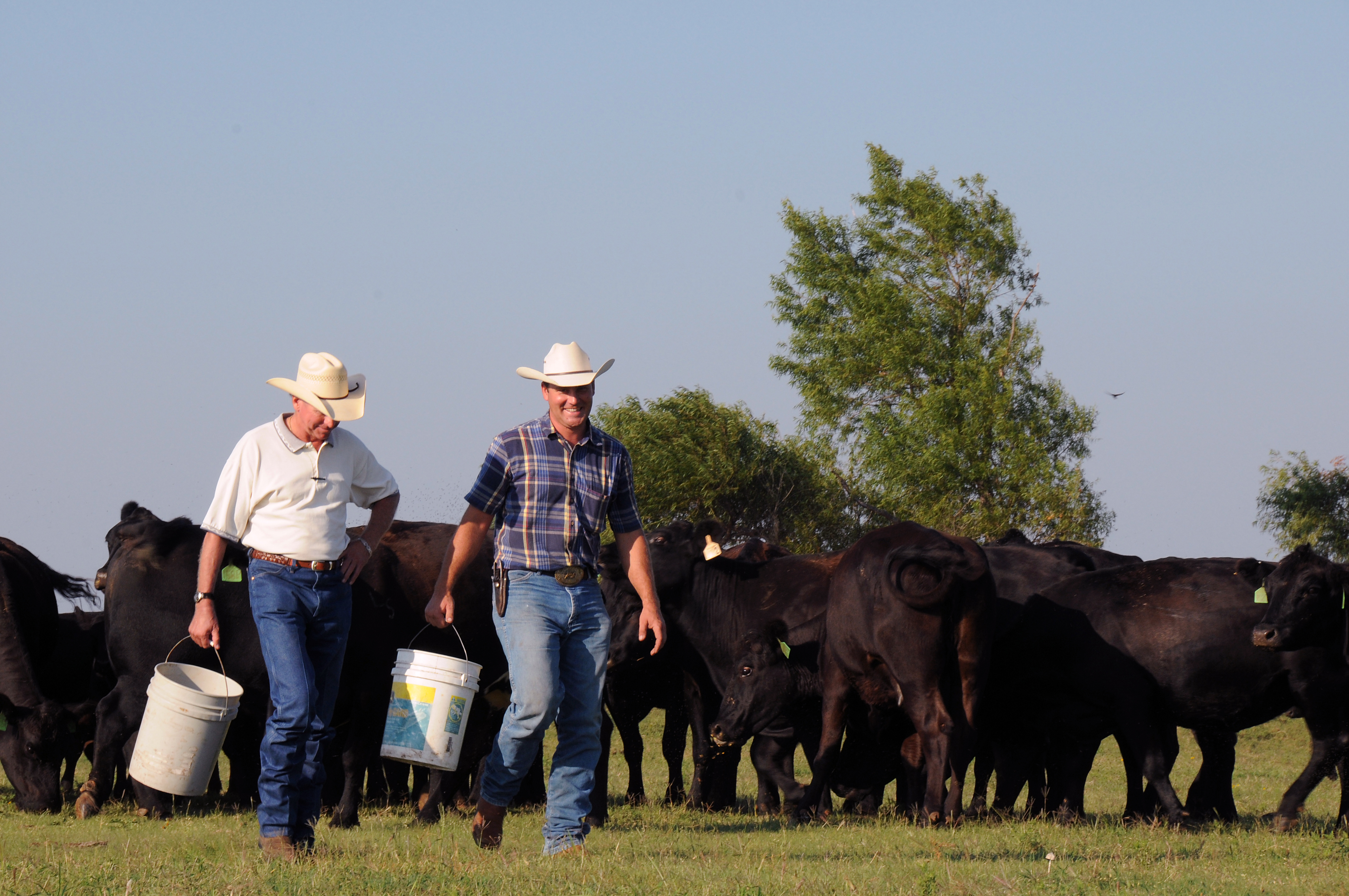 Farmers Are Worse Off Due to Unchecked Corporate Power, NFU’s Larew Tells Senate Judiciary Committee Farmers Are Worse Off Due to Unchecked Corporate Power, NFU’s Larew Tells Senate Judiciary Committee