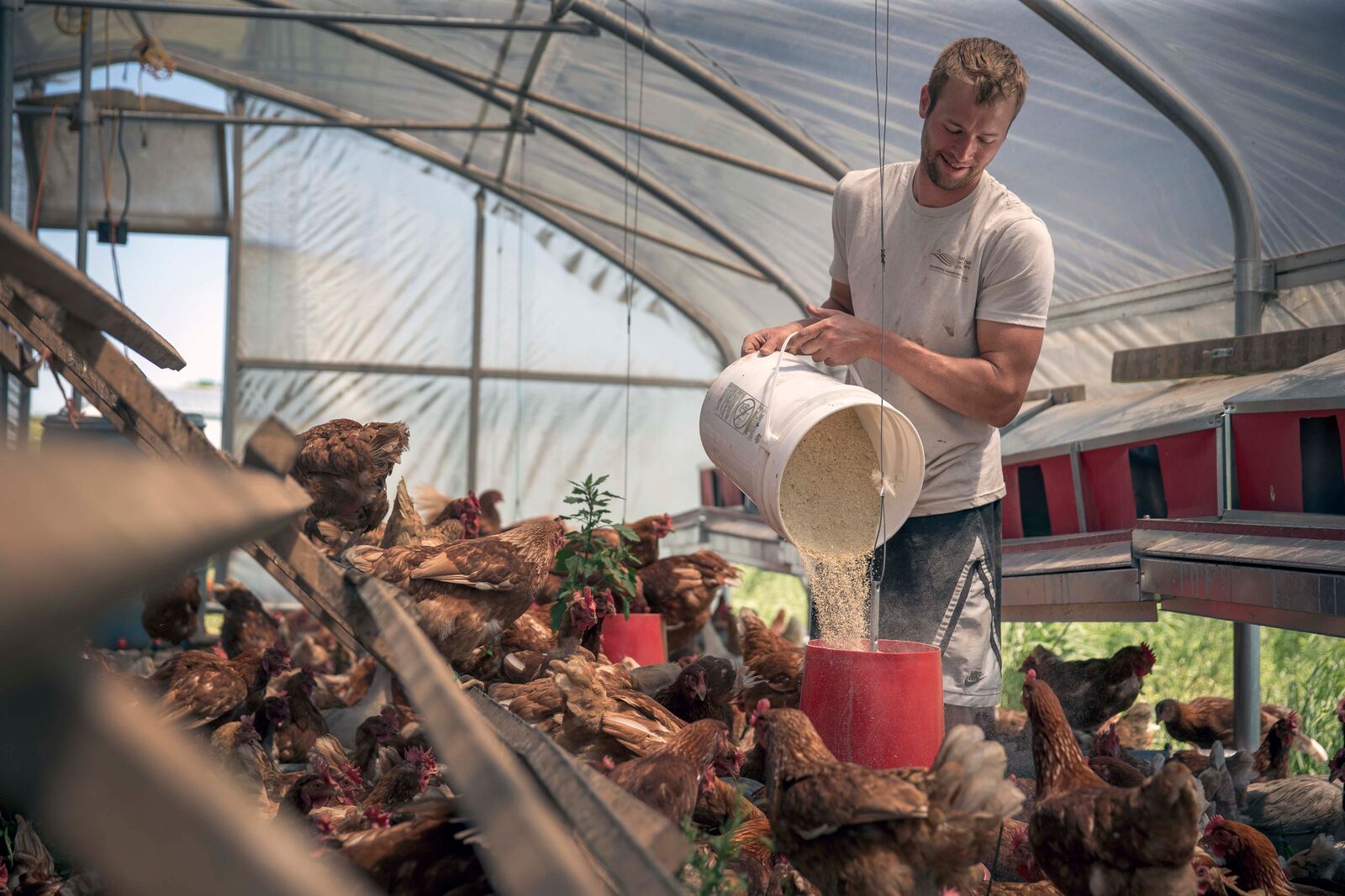National Farmers Union Calls on USDA to Support Competition in Meat and Poultry Processing National Farmers Union Calls on USDA to Support Competition in Meat and Poultry Processing